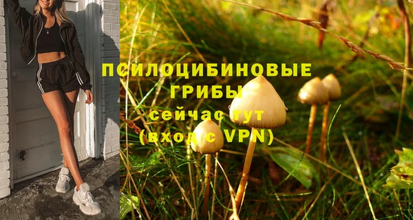 бутират Михайловка
