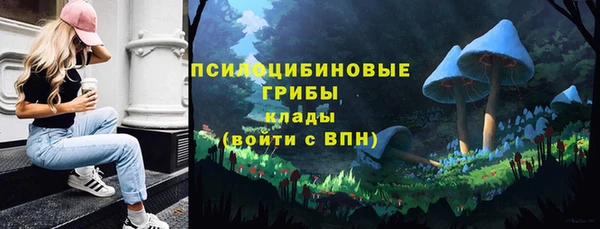 трава Медногорск