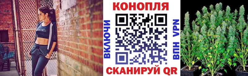 Марихуана индика  где можно купить   Нюрба 